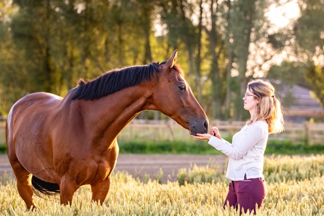 0A8A1179 Modifier Moyenne